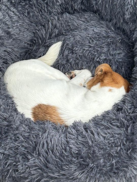 Pet Calming Bed - Anti-Anxiety Cloud Bed