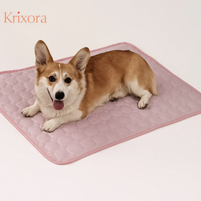 Pet Cooling Mat