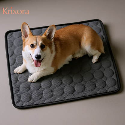 Pet Cooling Mat